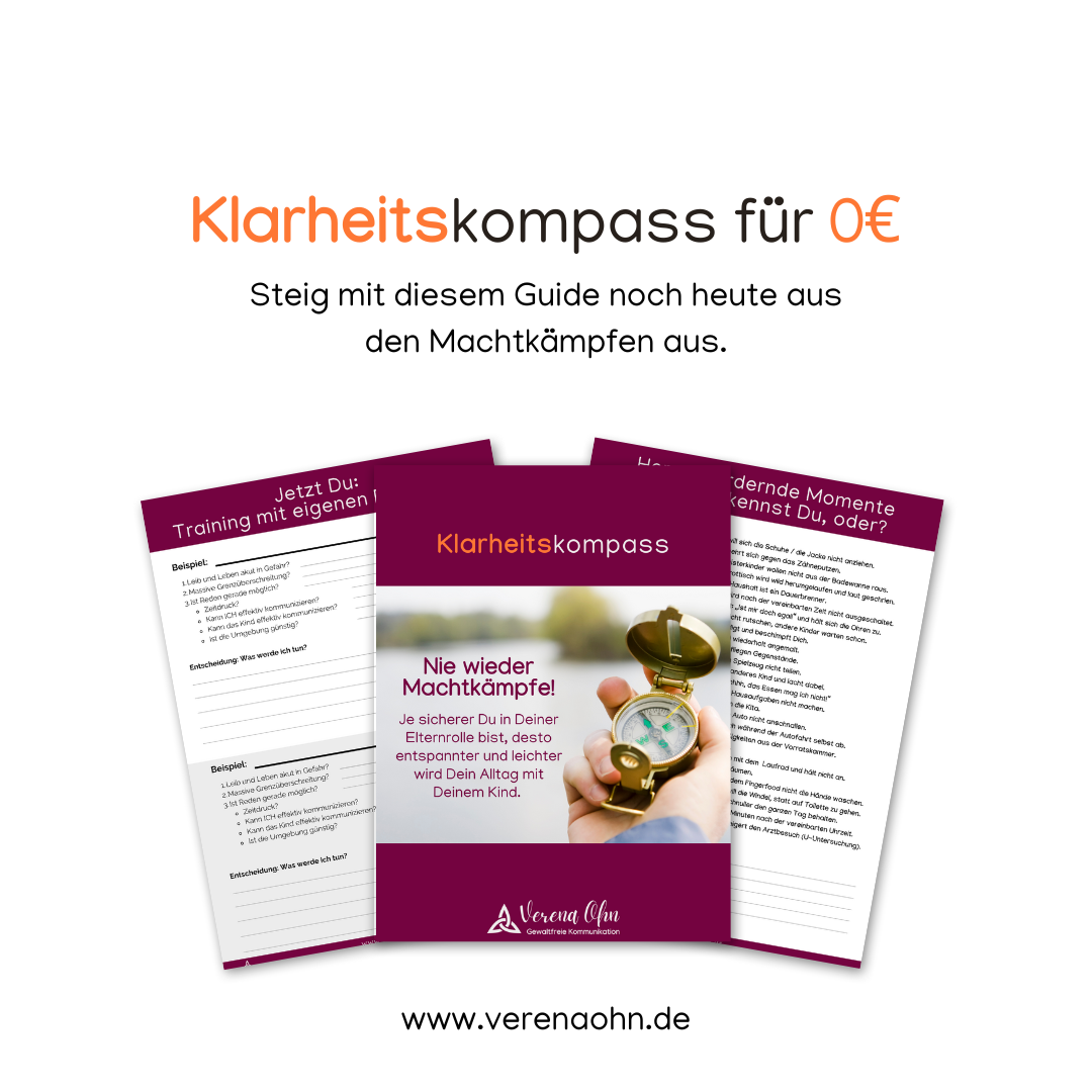 Klarheitskompass Verena Ohn